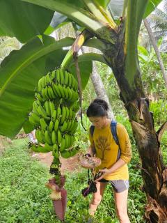 THE HIDEOUT KURUNEGALA - 5