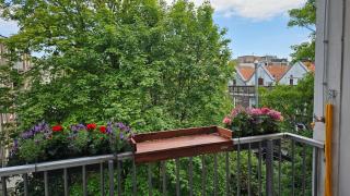 Spacious Room with private king bathroom - 1