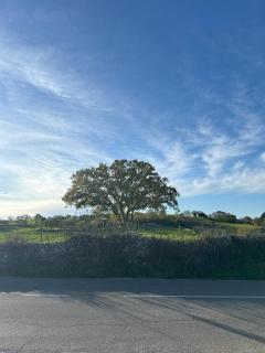 Intini Locazione Turistica - 8