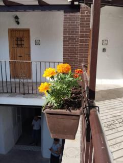 Apartamento La Catavina - 7