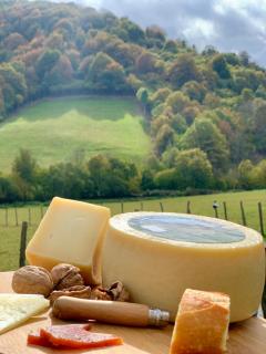 Apartamentos Zabalarena Artzaia - 8