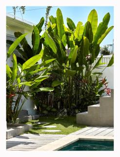 The Laut Bali- Design Villa Rice Field View Pool - 4