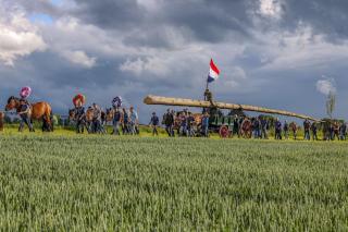 Unique farmhouse near Maastricht - 2