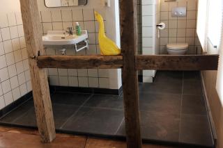 Unique farmhouse near Maastricht - 1