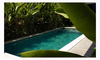 The Laut Bali- Design Villa Rice Field View Pool - 9