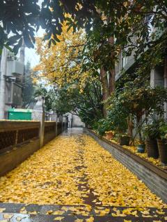 Nost algia S Hotel Chengdu KuanZhai Alley & Renmin Park 时光漫步S酒店 成都宽窄巷子人民公园地铁站店 Free fresh ground coffee,Free laundry service - 1