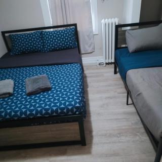 TORONTO BLUE JAYS- World Cup Stay - 1