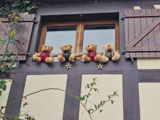 Gîte a la source - 7