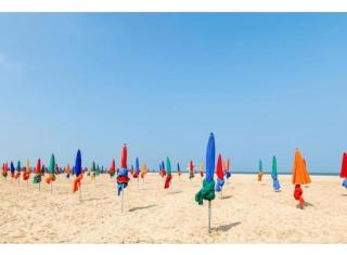 Deauville, appartement cosy et chaleureux vue sur golf - 9