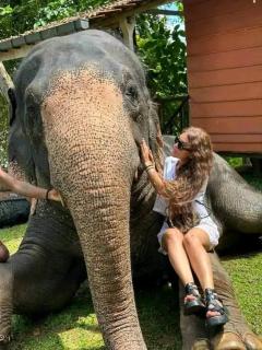 Pearlstone Villa - 2