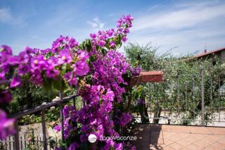Appartamenti Caterina - 3