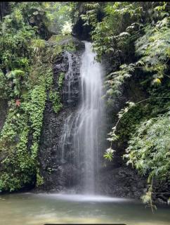 Le nid des colibris, charmant T3 spacieux et paisible, votre refuge idéal entre ville, plages & cascades - 8