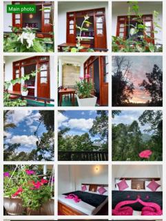 Green High Point Haven Ella - 1