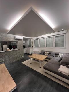 Appartement entier sympathique 45m2 - 1