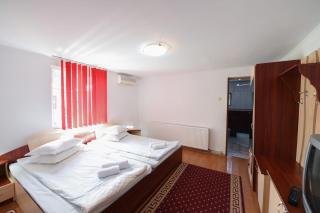 Casa Delia Vatra Dornei - 1