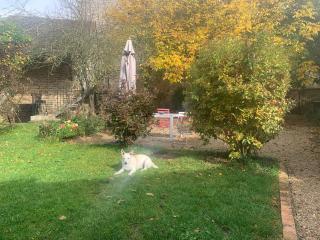 La Victoire de Noyers - 7