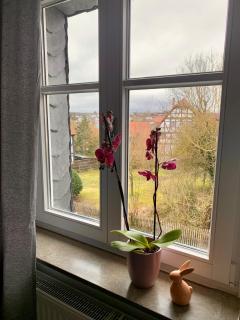 Modern wohnen im Fachwerkhaus im Herzen Wolfhagens - 2 Schlafzimmer, Parkplatz - 9