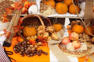 GHT Oasis Tossa & Spa - 3