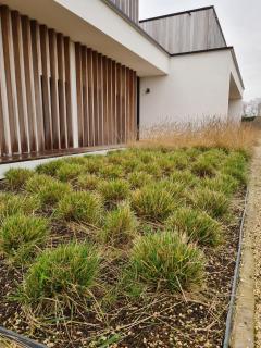 Alegria Newport at Oostduinkerke - 5