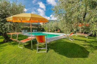Historic Apartment With Swimming Pool Near Lucca - 0