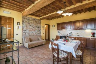 Historic Apartment With Swimming Pool Near Lucca - 5