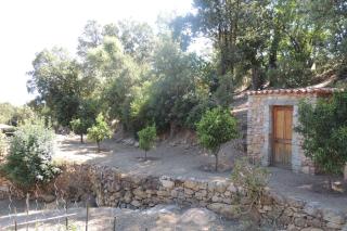 L'Ortu Di Pisettu -2 - 6