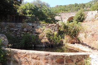 L'Ortu Di Pisettu -2 - 3