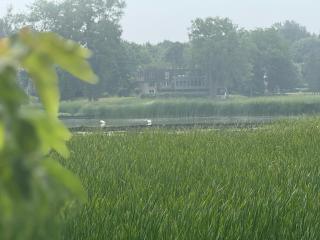 Luxury Apartment Living - 3