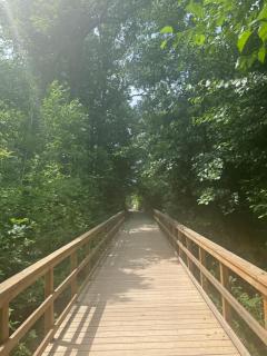 Luxury Apartment Living - 4