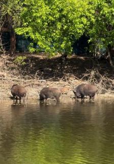 База сімейного відпочинку Чикалівка - 1