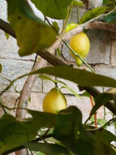 Bella casa con vista panoramica - 2