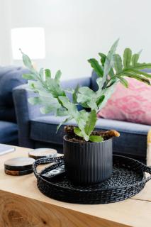 19 Mare St Apartments - 1