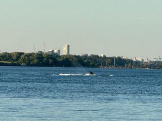 Luxury Apartment Living - 6