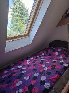 Doppelzimmer an der Pleiße, zwischen zwei Seen - 1