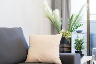 Parque Agaete near beach - 7