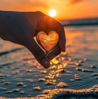 Shtepia Druri Sokol Lulaj - 1