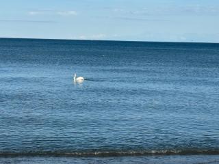 Luxury Apartment Living - 9