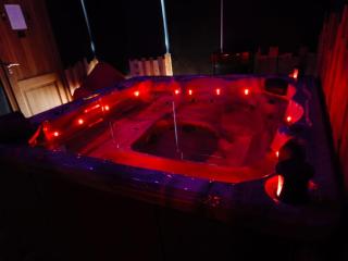Suite love Jacuzzi - Charleroi - 2
