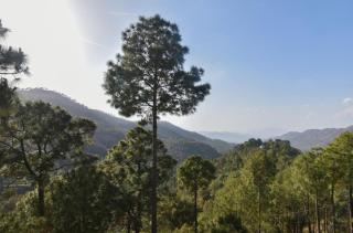 The Western Heights I Serviced Apartments I Pvt Balcony I Peacefull Area I Family Accomodation I Kasauli By Exotic Stays - 2