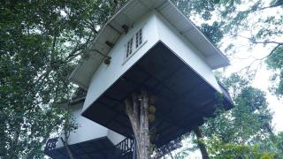 Tree Nature Resort - 7