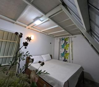 Tree Nature Resort - 1