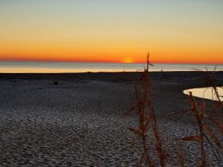 EMBRUN Appartement climatisé cosy 2 chambres au 1er étage pour 4 personnes au Barcarès - 4