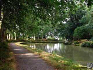 grand studio avec terrasse centre Castelnaudary - 4