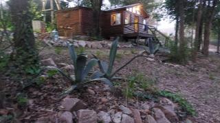 cabaña en el bosque - 5