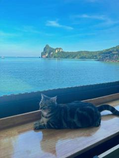 The One Hostel Phi Phi Island - Phi Phi Don - 5