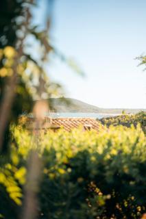 Dimora Su Tramonti a due passi dal mare! - 9