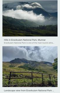 Munnar Mountain view cottage - 9