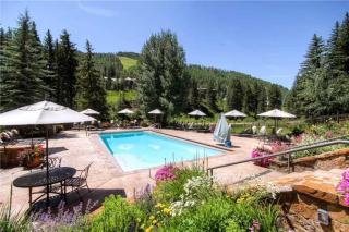 Ski In, Ski Out Studio Condo In The Heart Of Lionshead Village With Mountain View, Hot Tubs, And Pool Access - 4