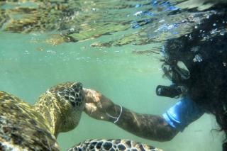 Madiha The Black Empire - 1