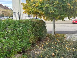 Rosis Appartement - 7